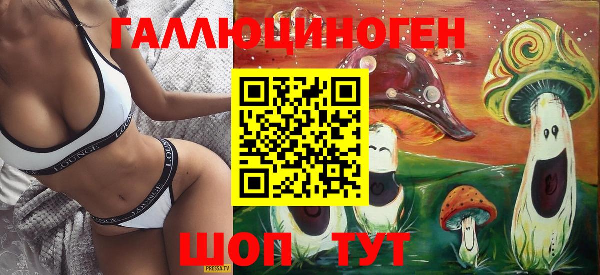 Псилоцибиновые грибы Psilocybine cubensis  Вход с VPN  Псилоцибиновые грибы мицелий  Вичуга 